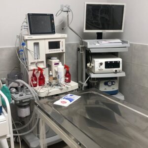 Özel Çayyolu Hayvan Hastanesi - Ankara Hayvan Hastanesi