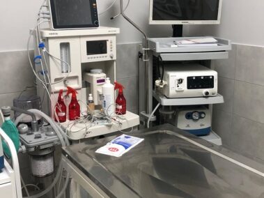 Özel Çayyolu Hayvan Hastanesi - Ankara Hayvan Hastanesi