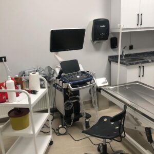 Özel Çayyolu Hayvan Hastanesi - Ankara Hayvan Hastanesi