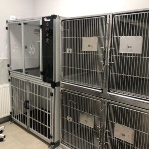 Özel Çayyolu Hayvan Hastanesi - Ankara Hayvan Hastanesi