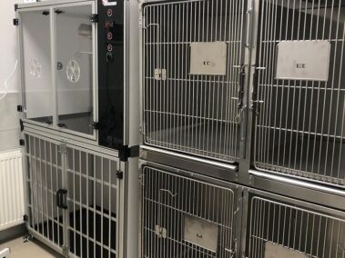 Özel Çayyolu Hayvan Hastanesi - Ankara Hayvan Hastanesi