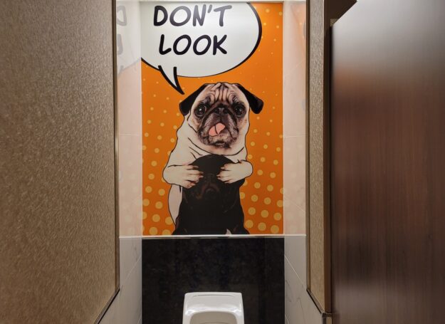 köpek tuvalet eğitimi köpek tuvalet eğitimi